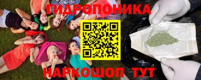 шишки Северобайкальск